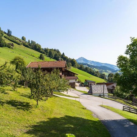 Appartamento Anderla 1 Wildschoenau Esterno foto