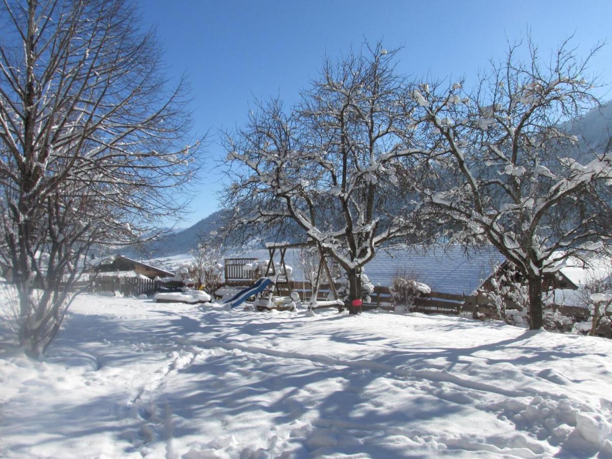 Appartamento Anderla 1 Wildschoenau Esterno foto